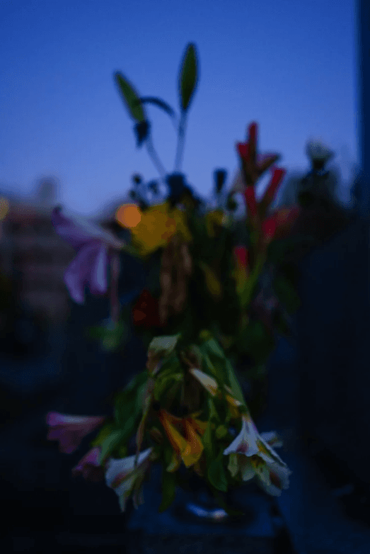 螢幕擷取畫面 2026-01-11 135422