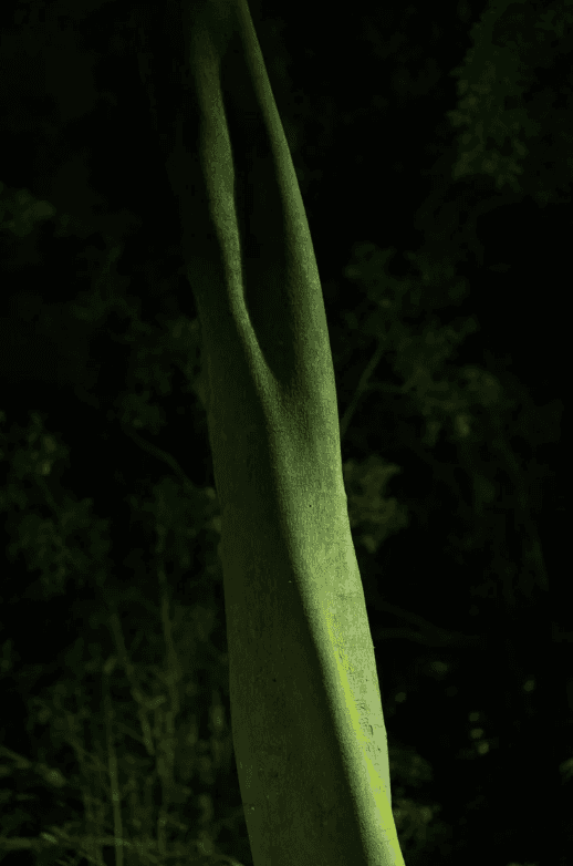 螢幕擷取畫面 2026-01-11 135440