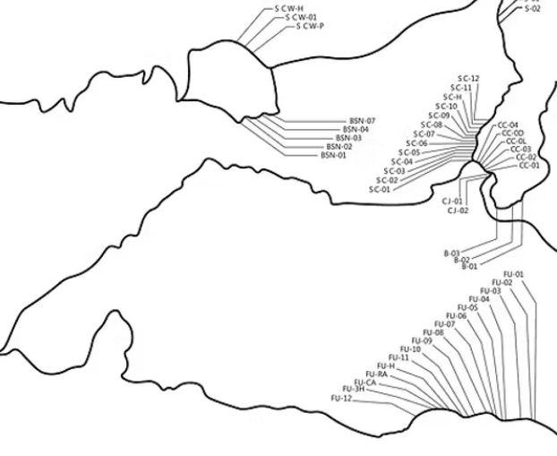 大豹：溫帶的邊界