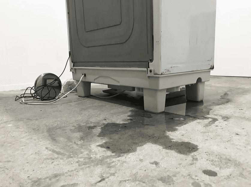 螢幕擷取畫面 2026-03-07 200156