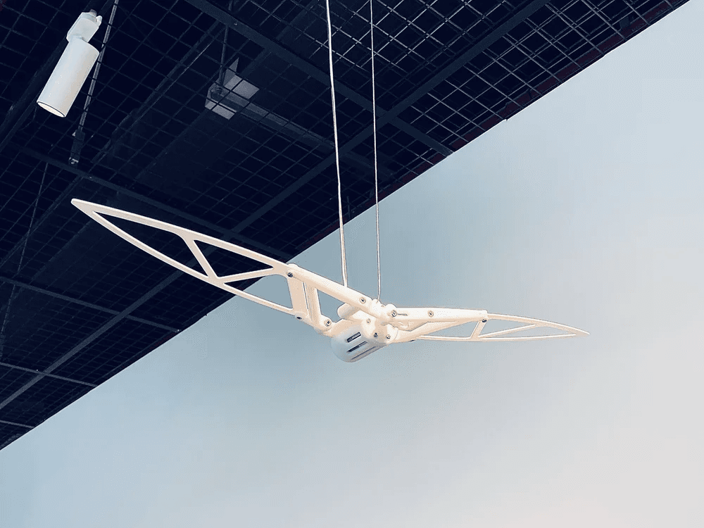 飛行的姿態α-1_1