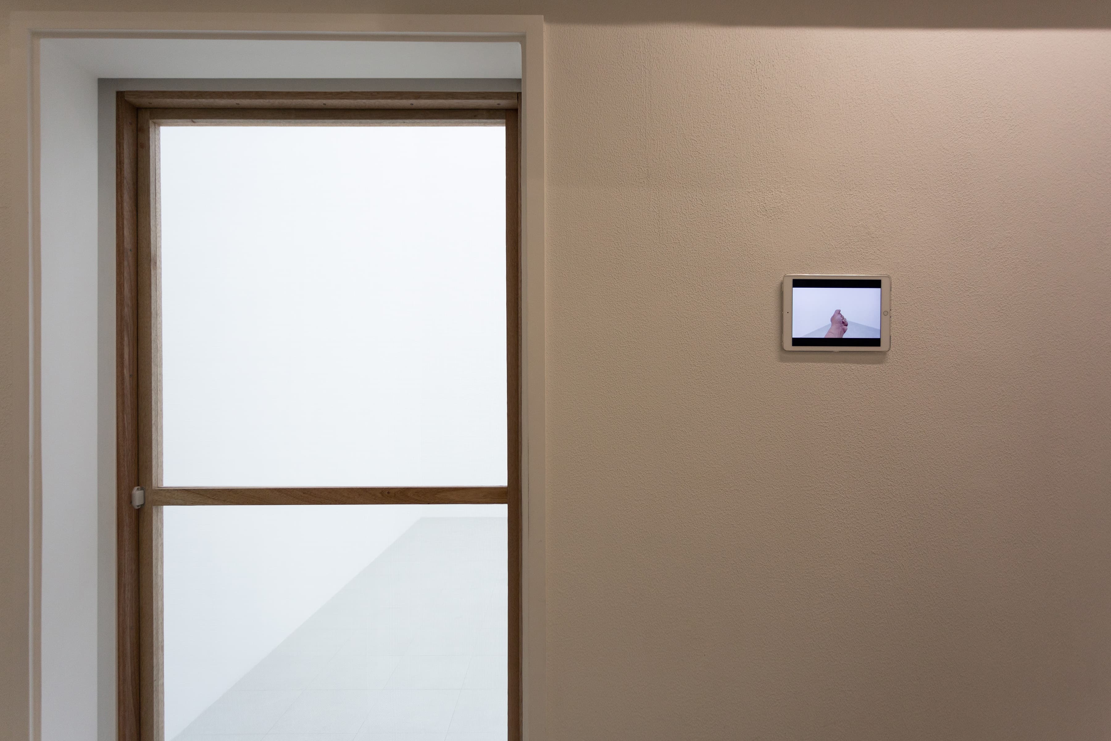 我在空間裡放了一隻蚊子