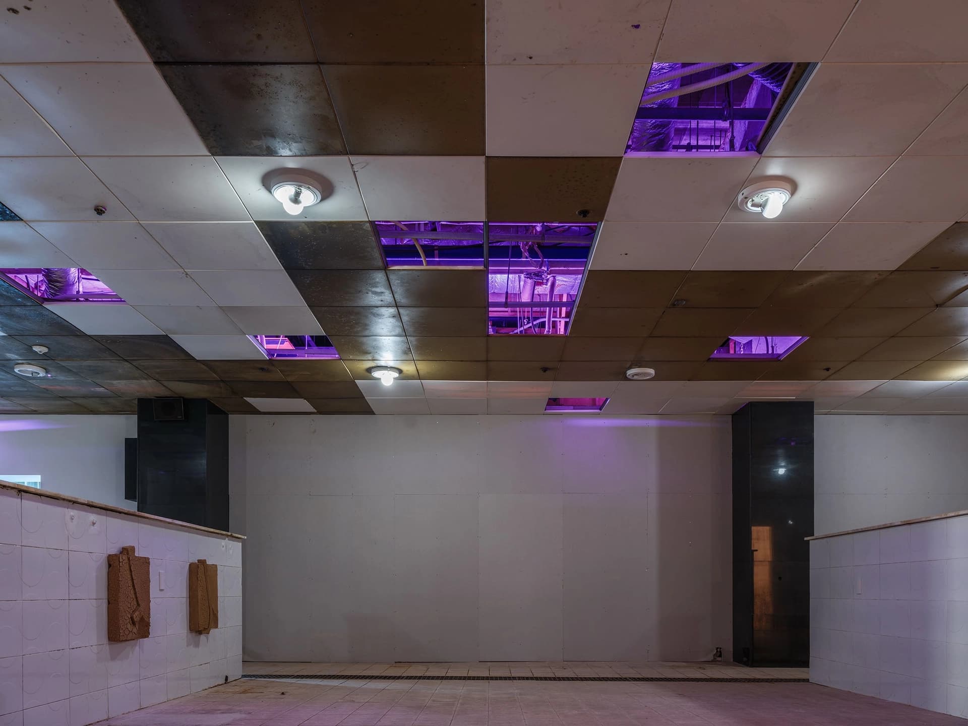 009affc0-f047-4846-8a98-3b9265b10246