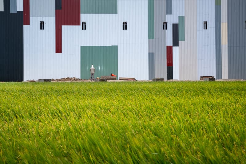 台灣「美景」－田園風光