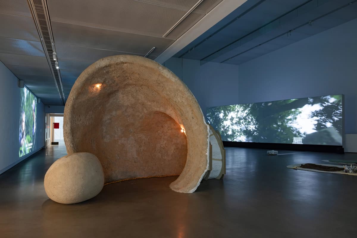 01d8e3de-6b84-4c3b-9165-0fd839caca80