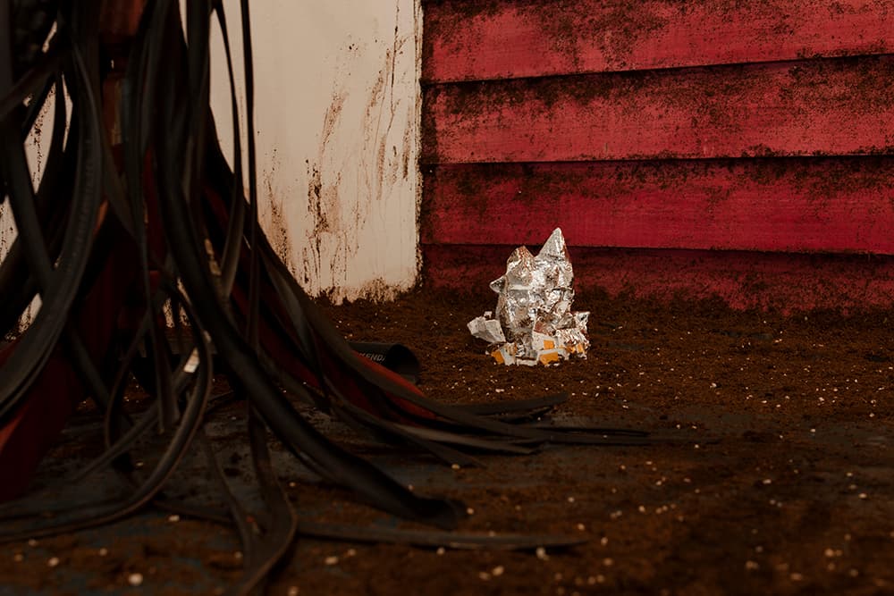 There Is a Light That Enters Houses With No Other House In Sight