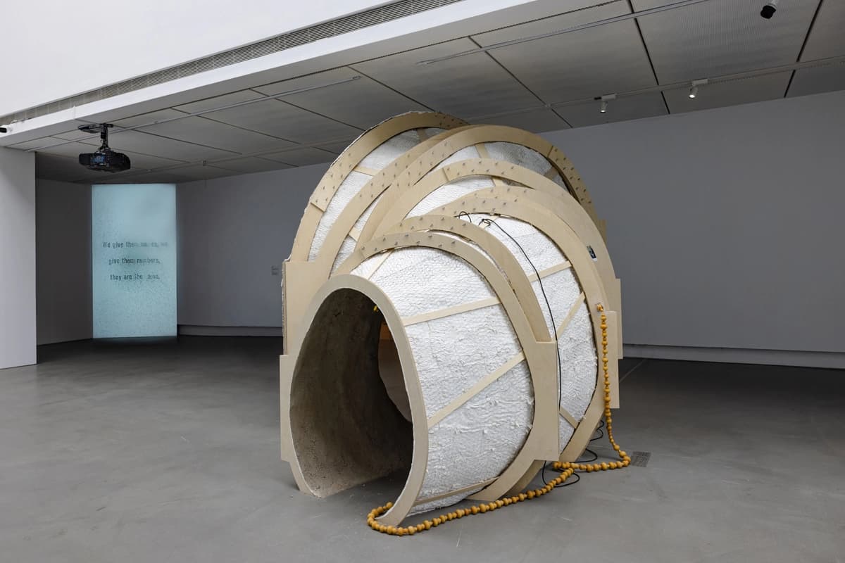 1209d30f-a232-4433-8f2f-59a85105ce18