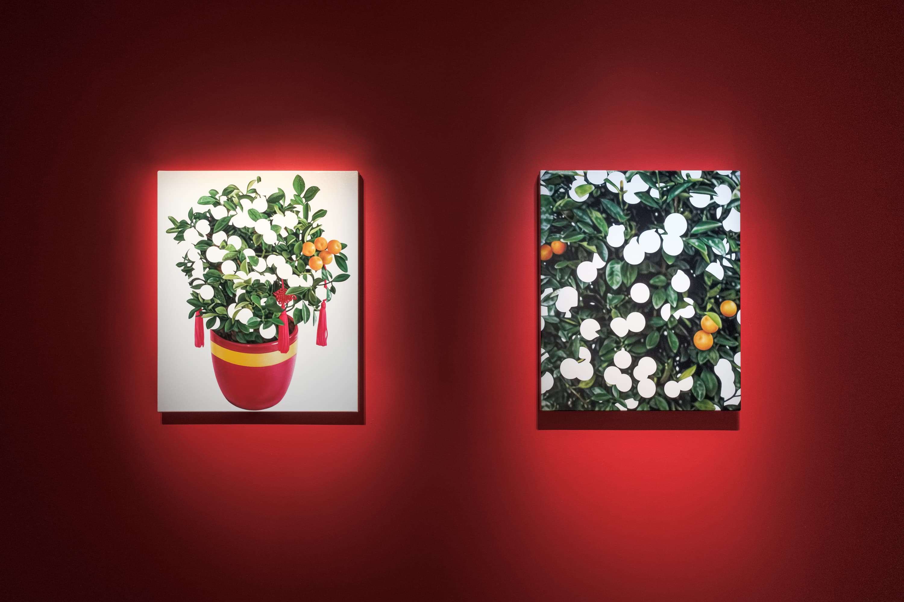 190920165956 mini sRGB網路