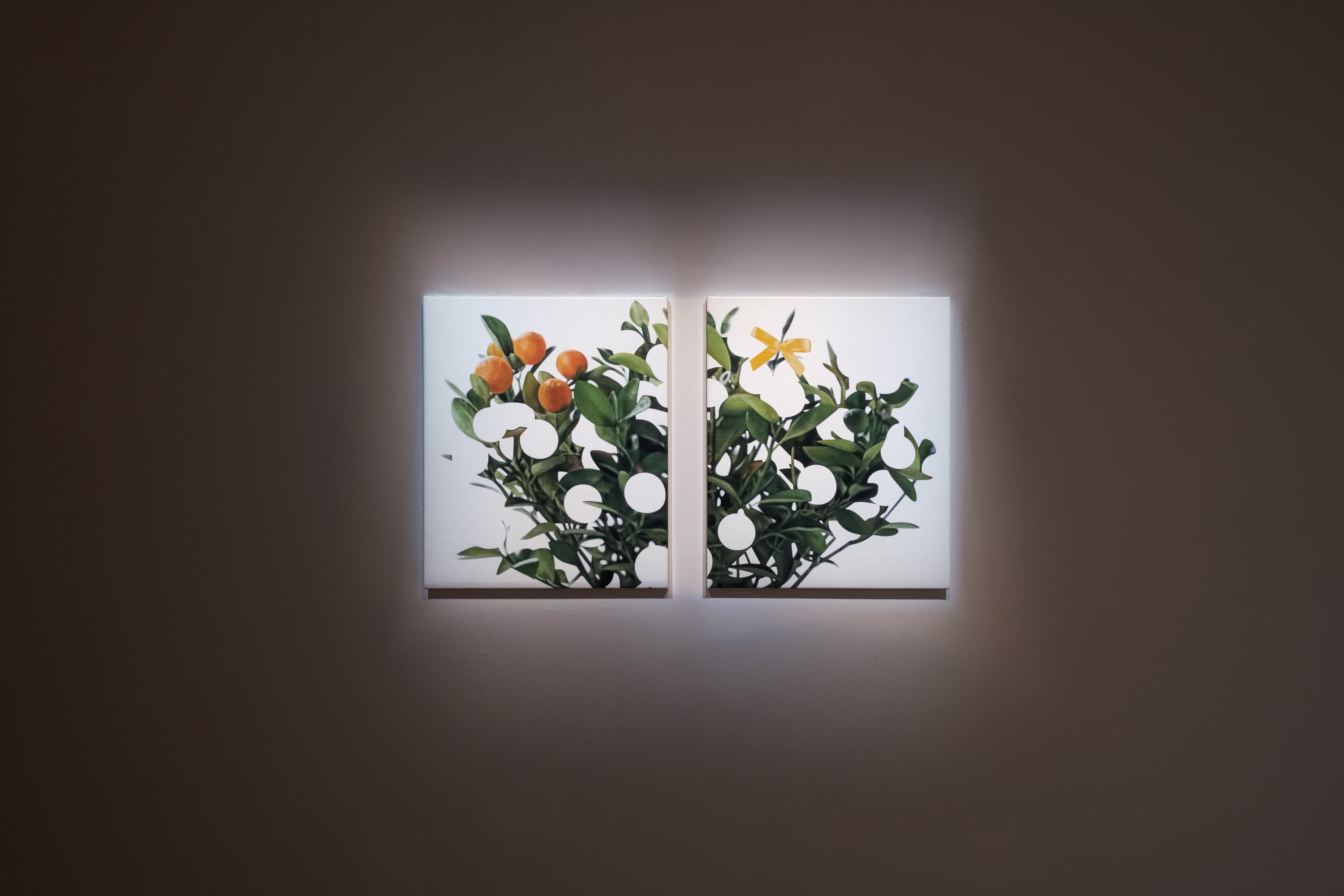 190920172837 mini sRGB網路