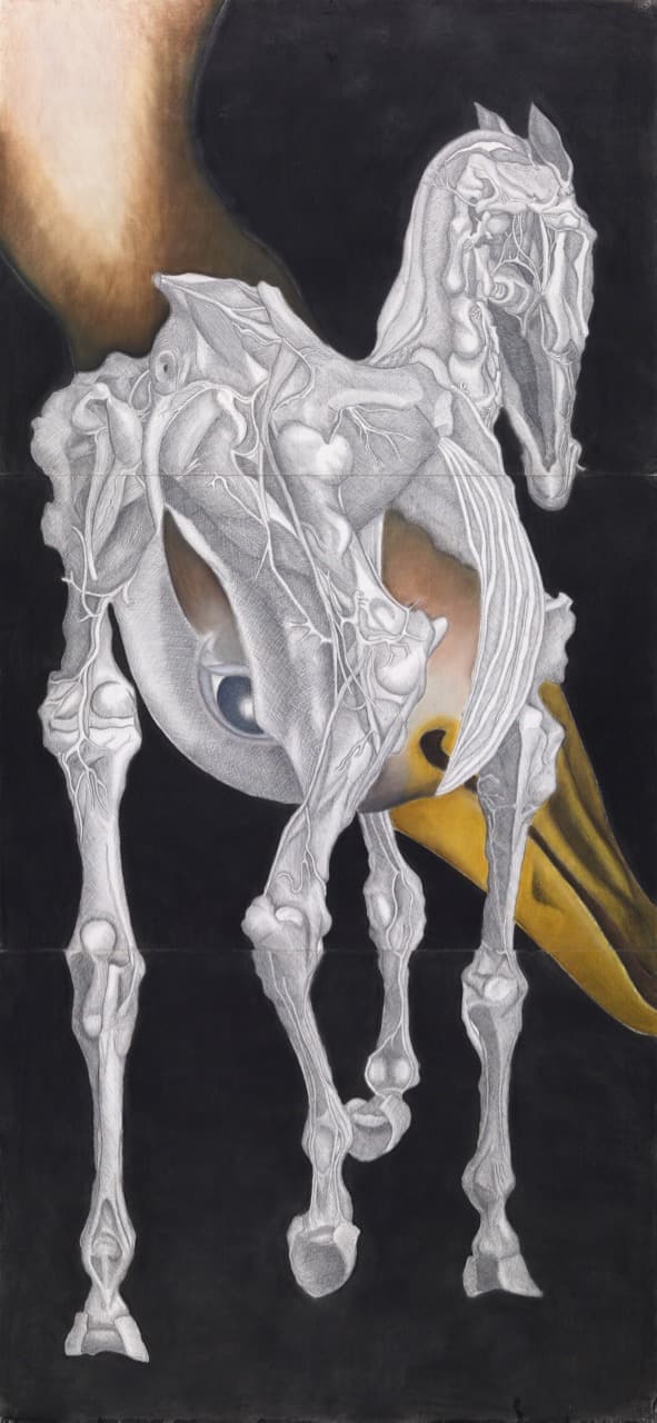 馬＃3：阿多羅西與達芬奇