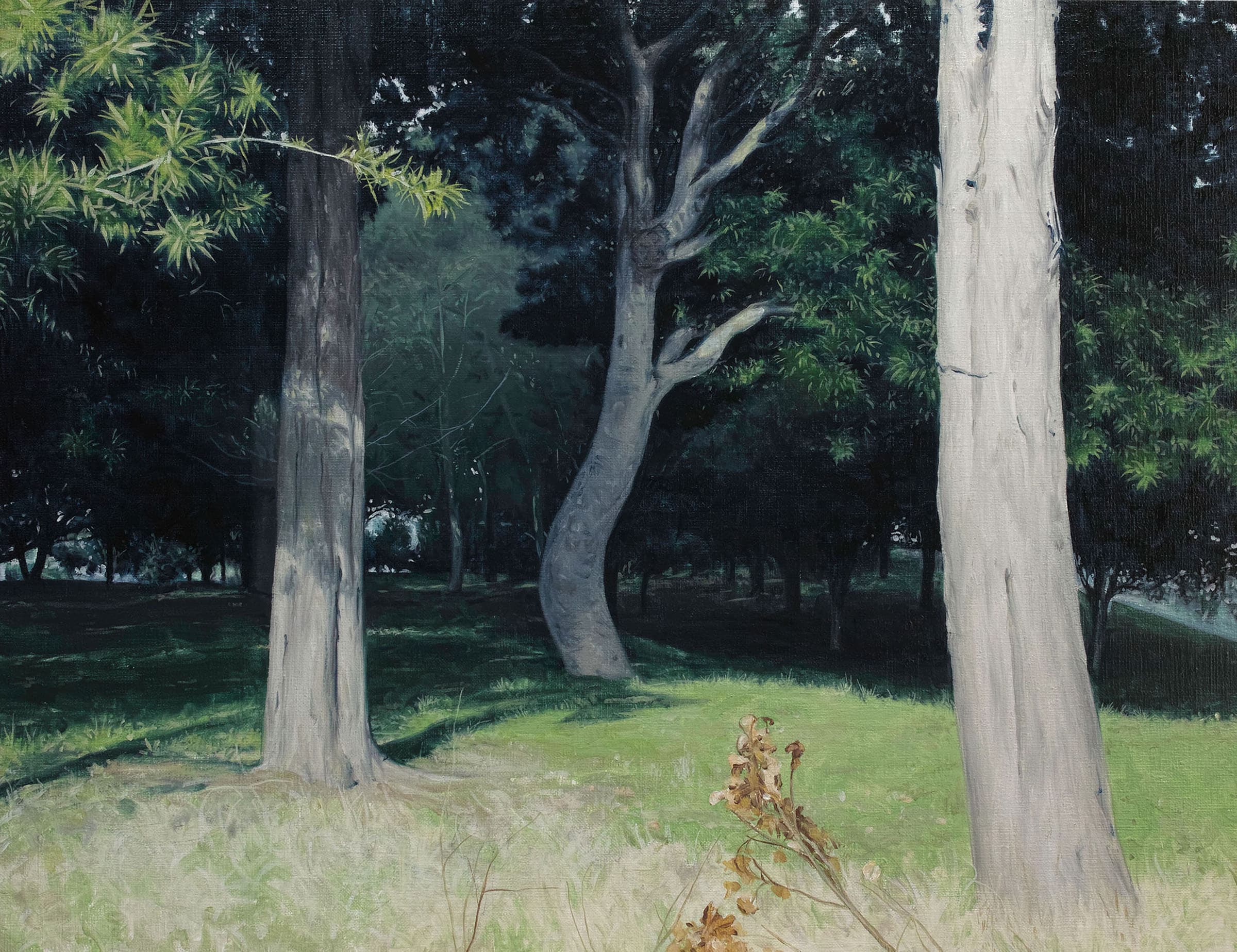 2014岸根公園系列