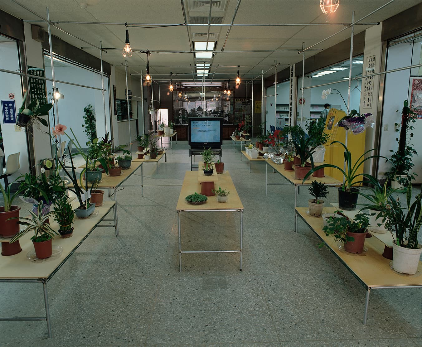 《河上洲．有綠洲》裝置/錄像/行動