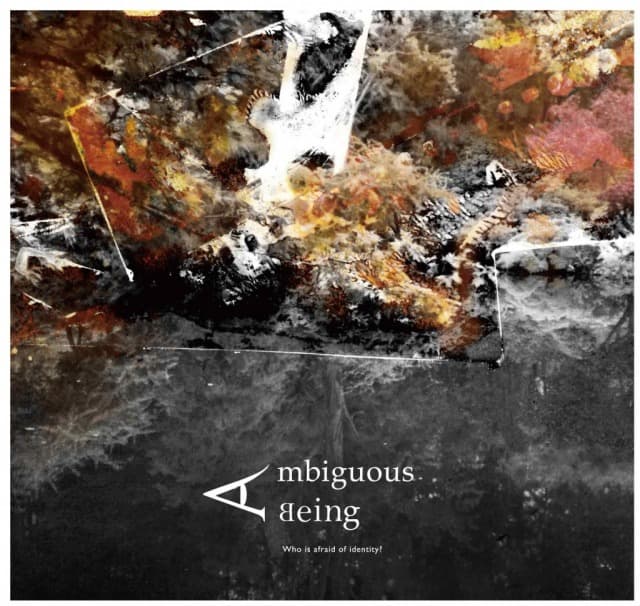 曖昧的存在： 是誰在懼怕認同？