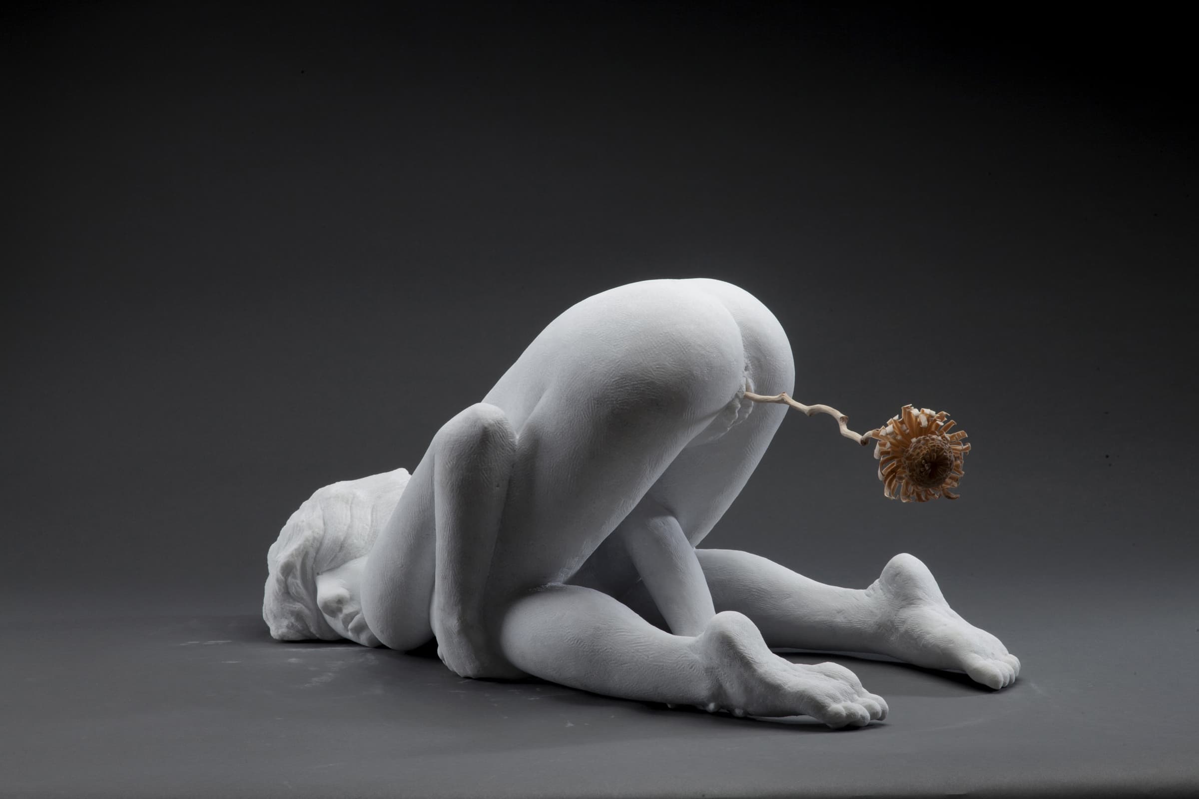 增補插點─雕刻的再模擬之外