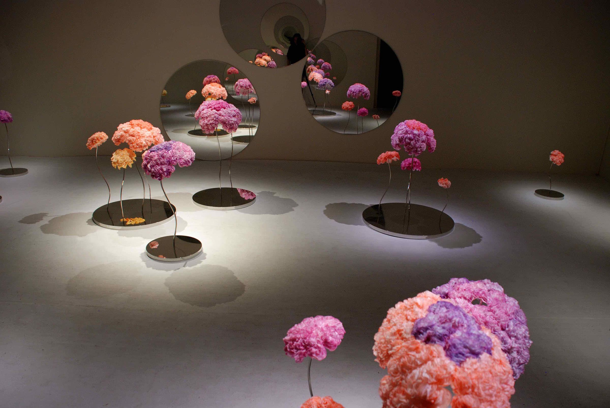 明：生命之花—青春