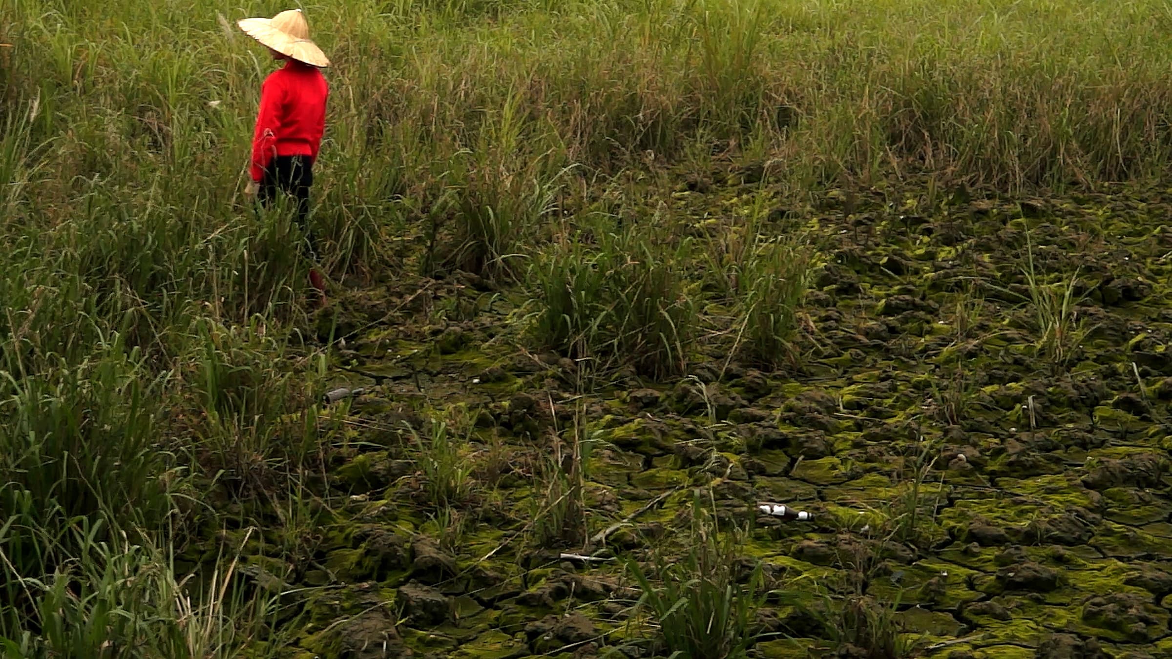 LHW-Desolation_Trio-4