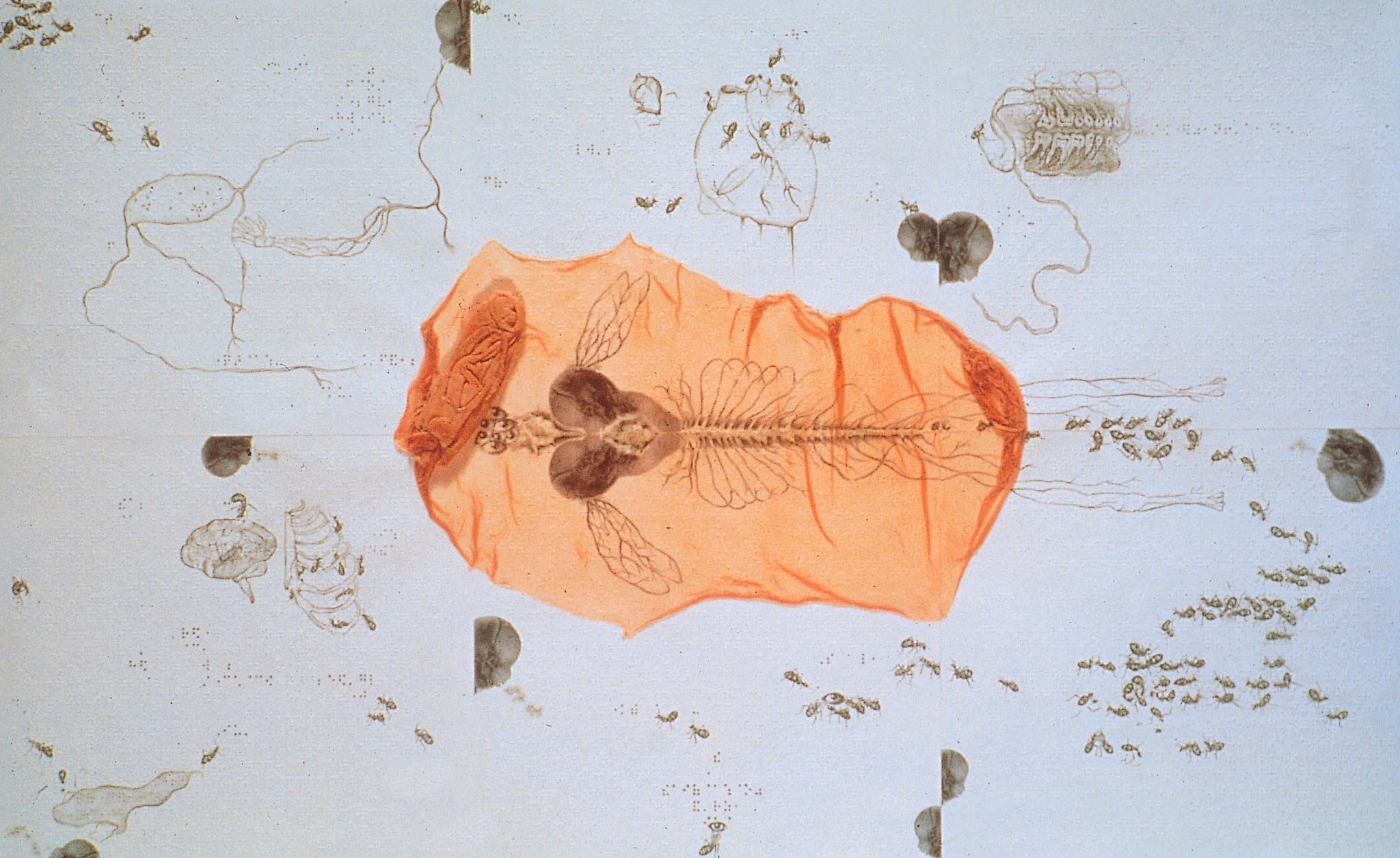 現象書簡P.5 – 缺席的戀人