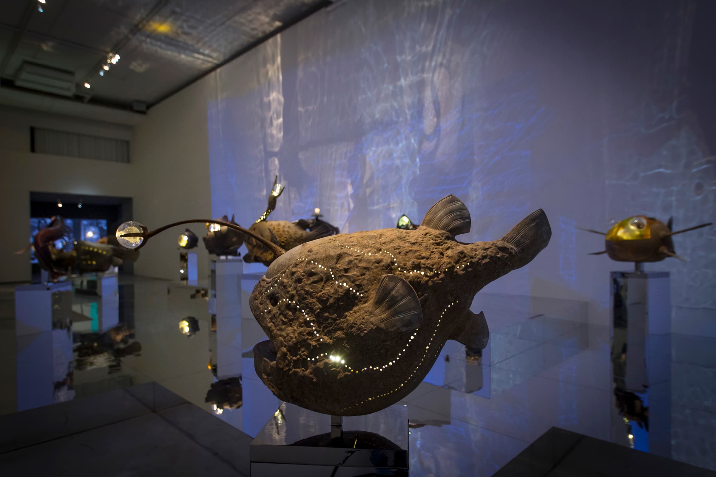 尋找曼荼羅─黯黑的放浪者、花落春未盡