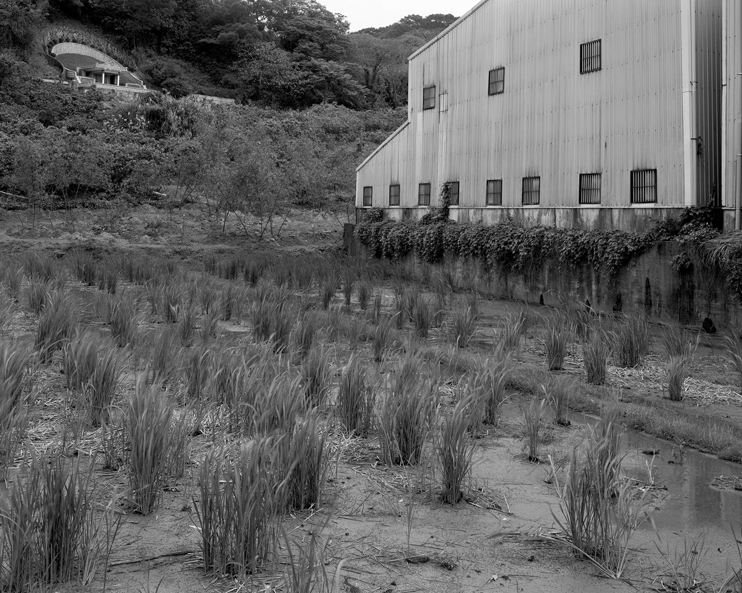 CCP-HE-S02陳敬寶-天上人間-S02s