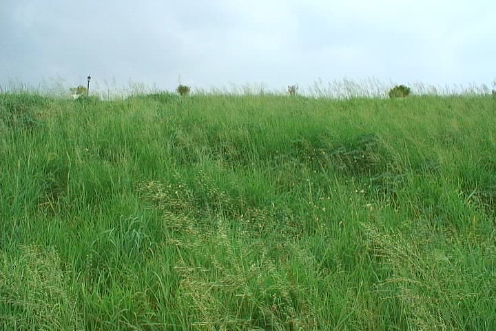 精神早操—髮廊篇