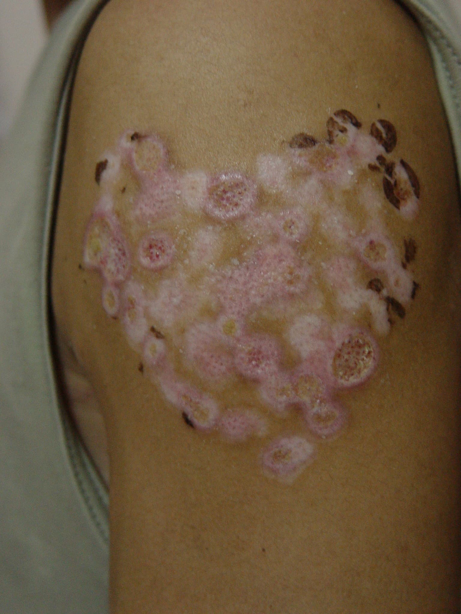 CSC-HTH-6鄭詩雋-心心相惜-6