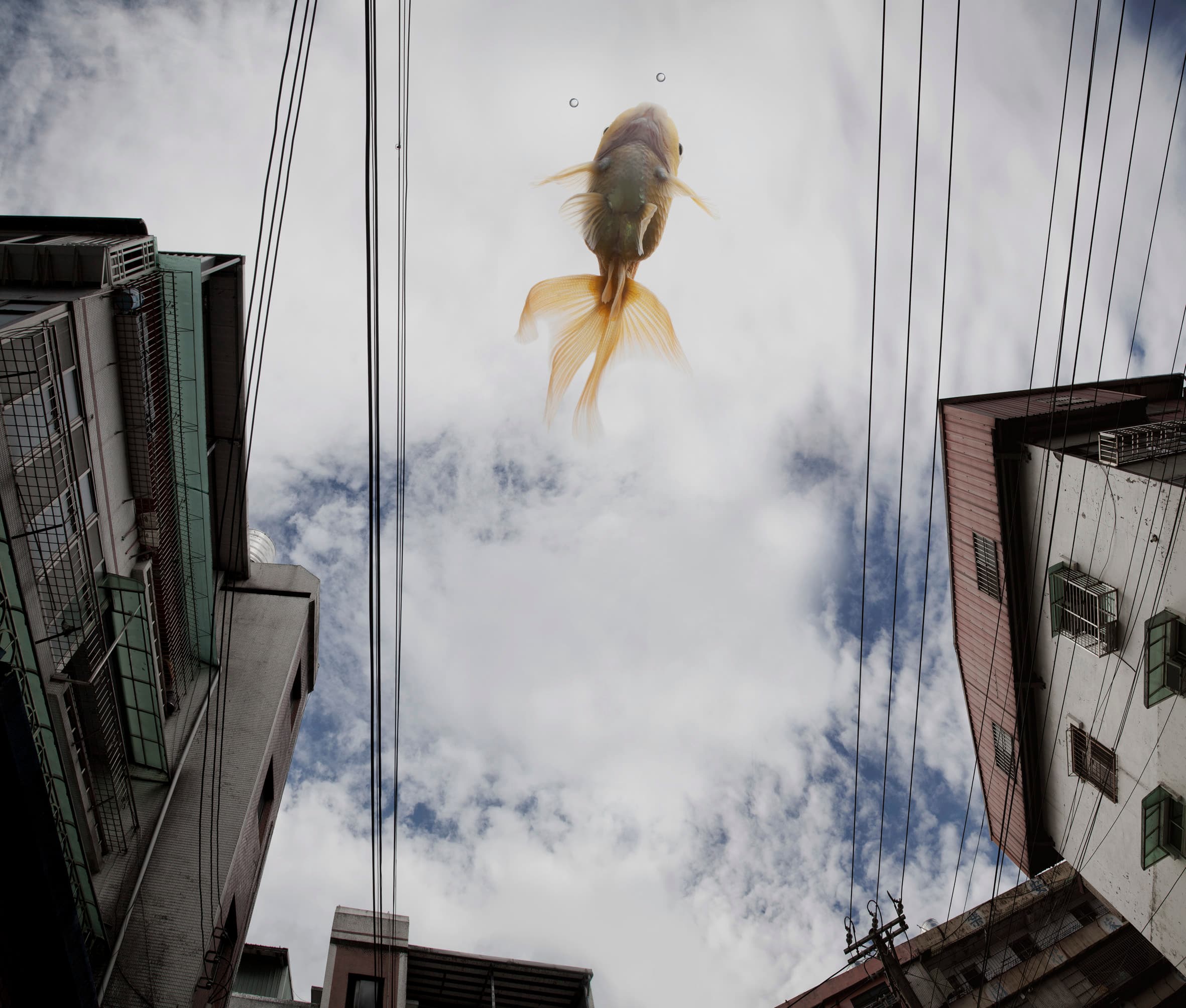 IH-AF0-11何孟娟-女孩阿發-01