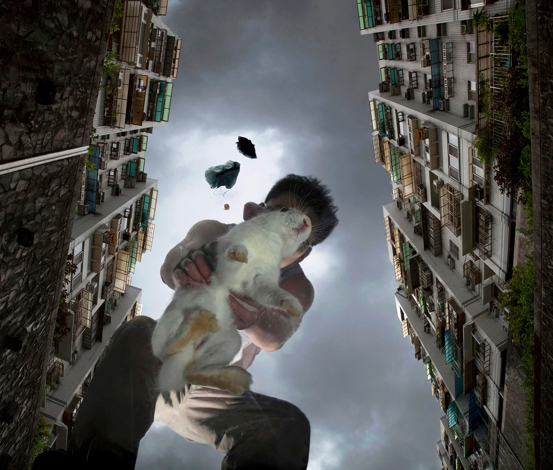 IH-BA-01何孟娟-女孩小白-01