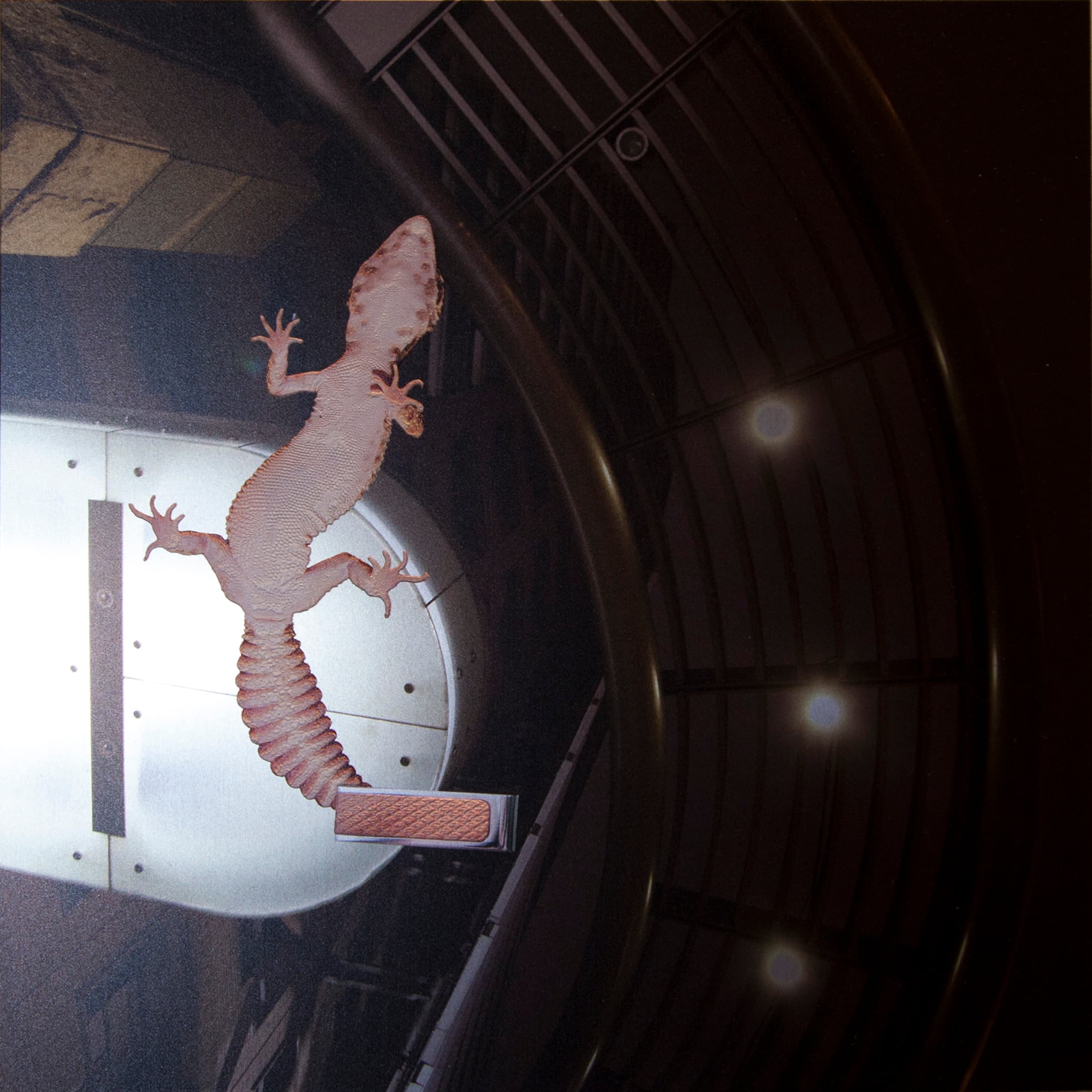 IH-BS-01何孟娟-女孩窗花-01