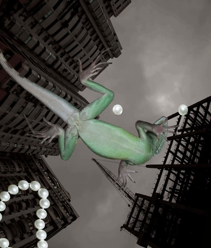 IH-DD-01何孟娟-女孩冬冬-01