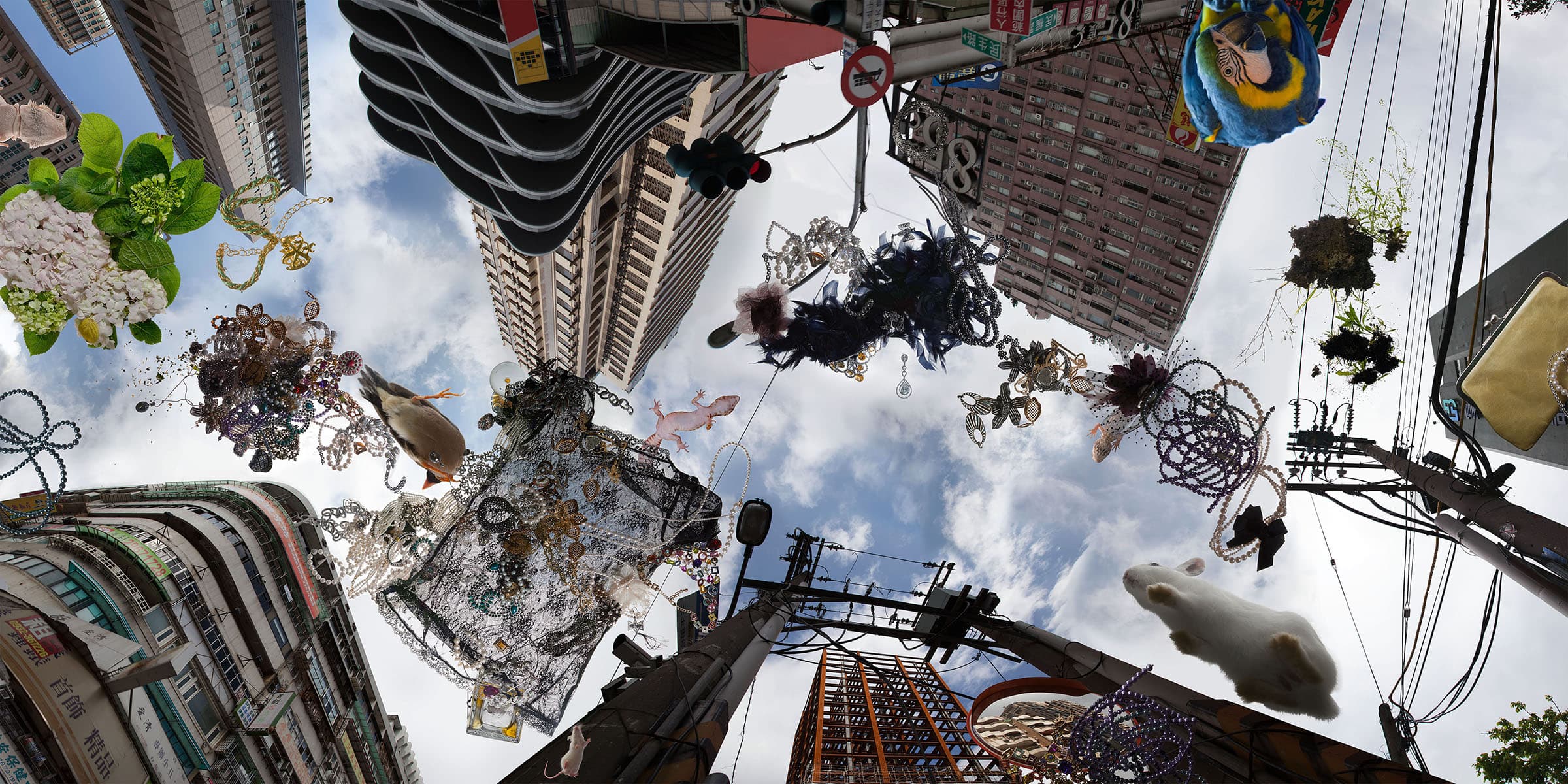 IH-WC-01何孟娟-女孩誰的城市我的家-01s