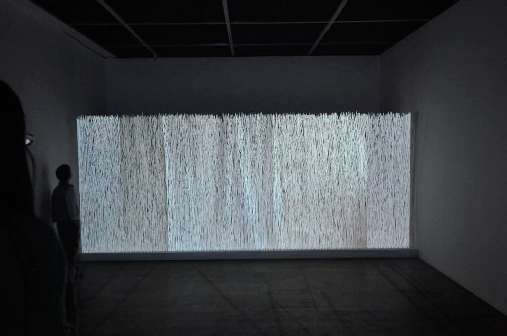 矢口立日（知音）