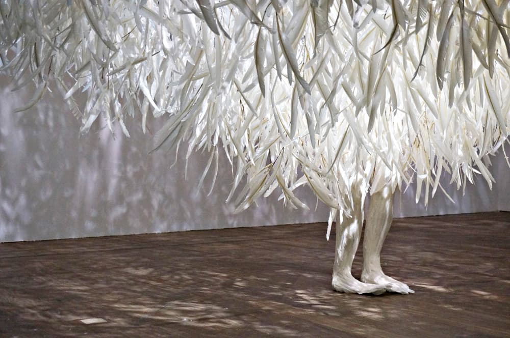 雨云身朵（雲躲）