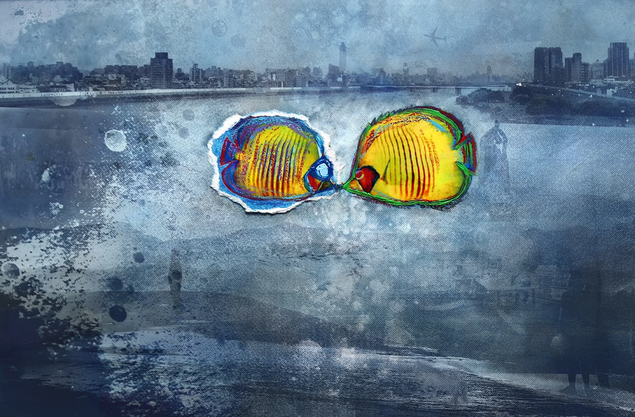 在台北-轉身遇見魚10