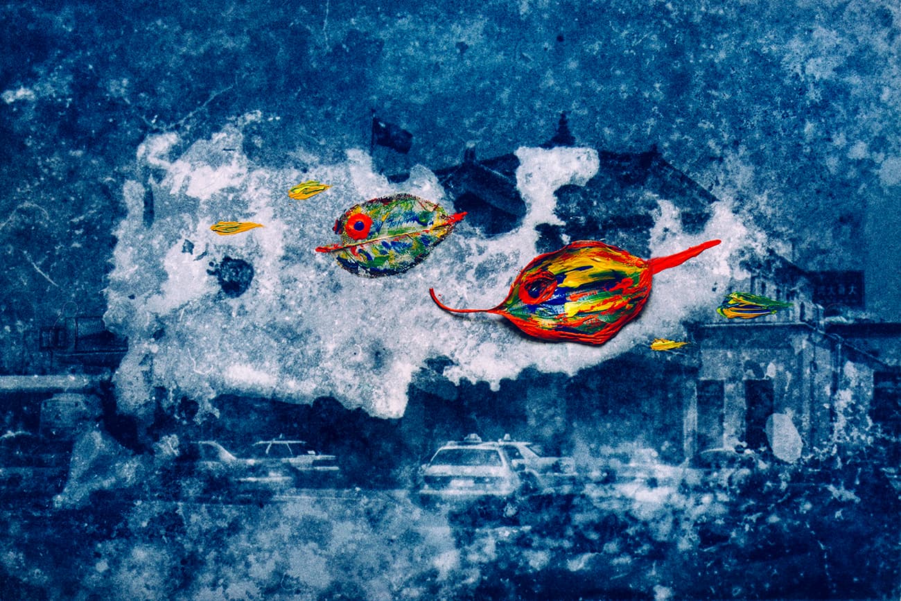 在台北-轉身遇見魚12