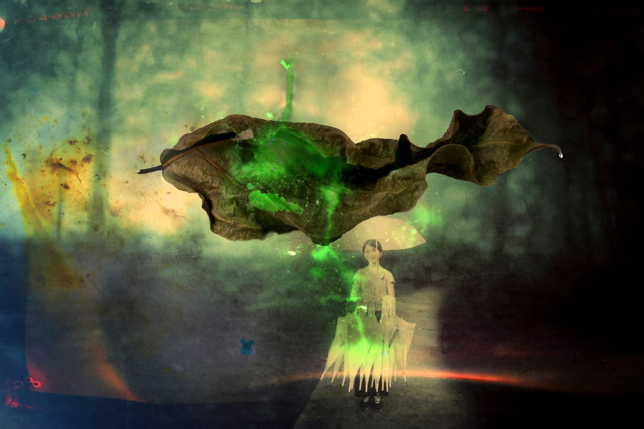 在台北-轉身遇見魚3