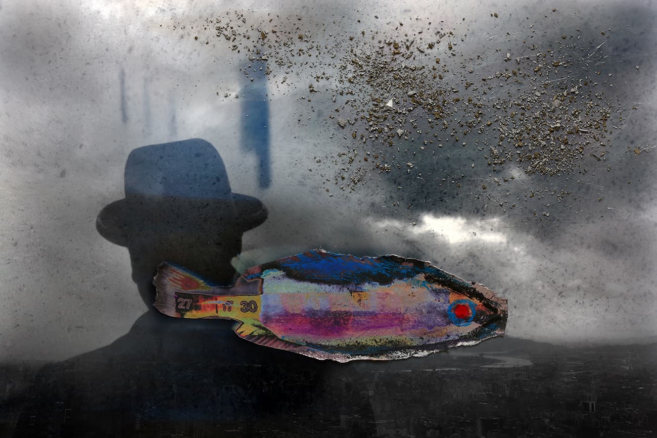 在台北-轉身遇見魚4