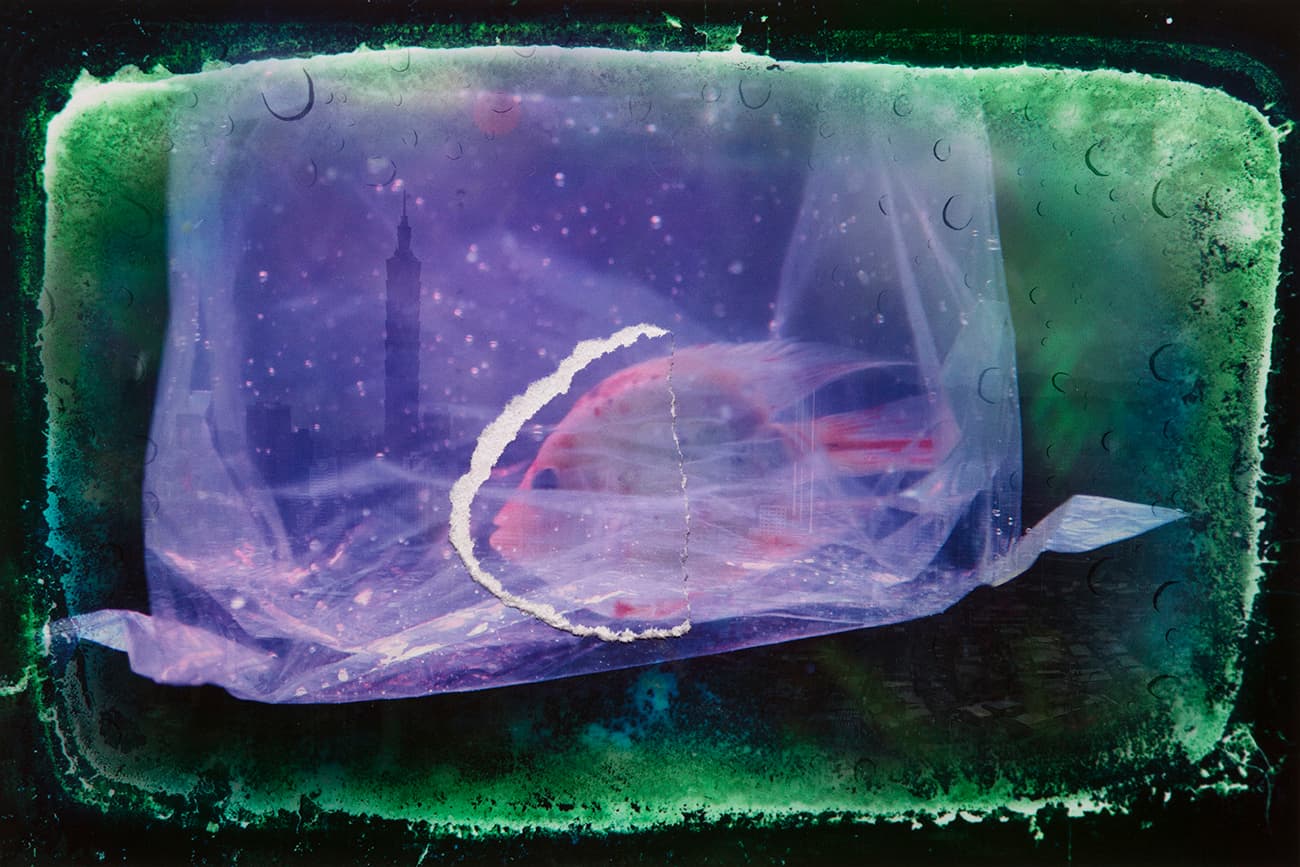 在台北-轉身遇見魚6