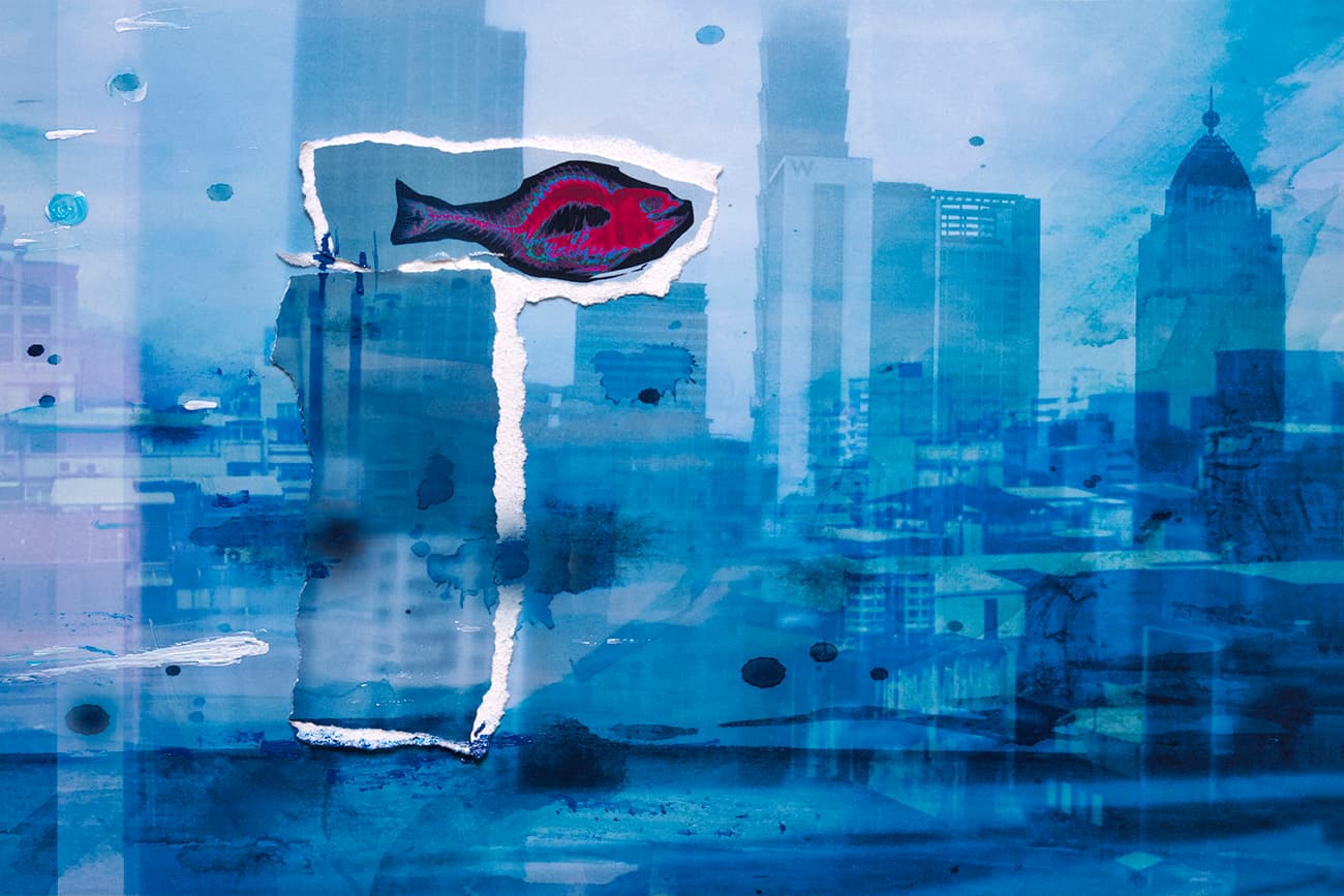 在台北-轉身遇見魚8