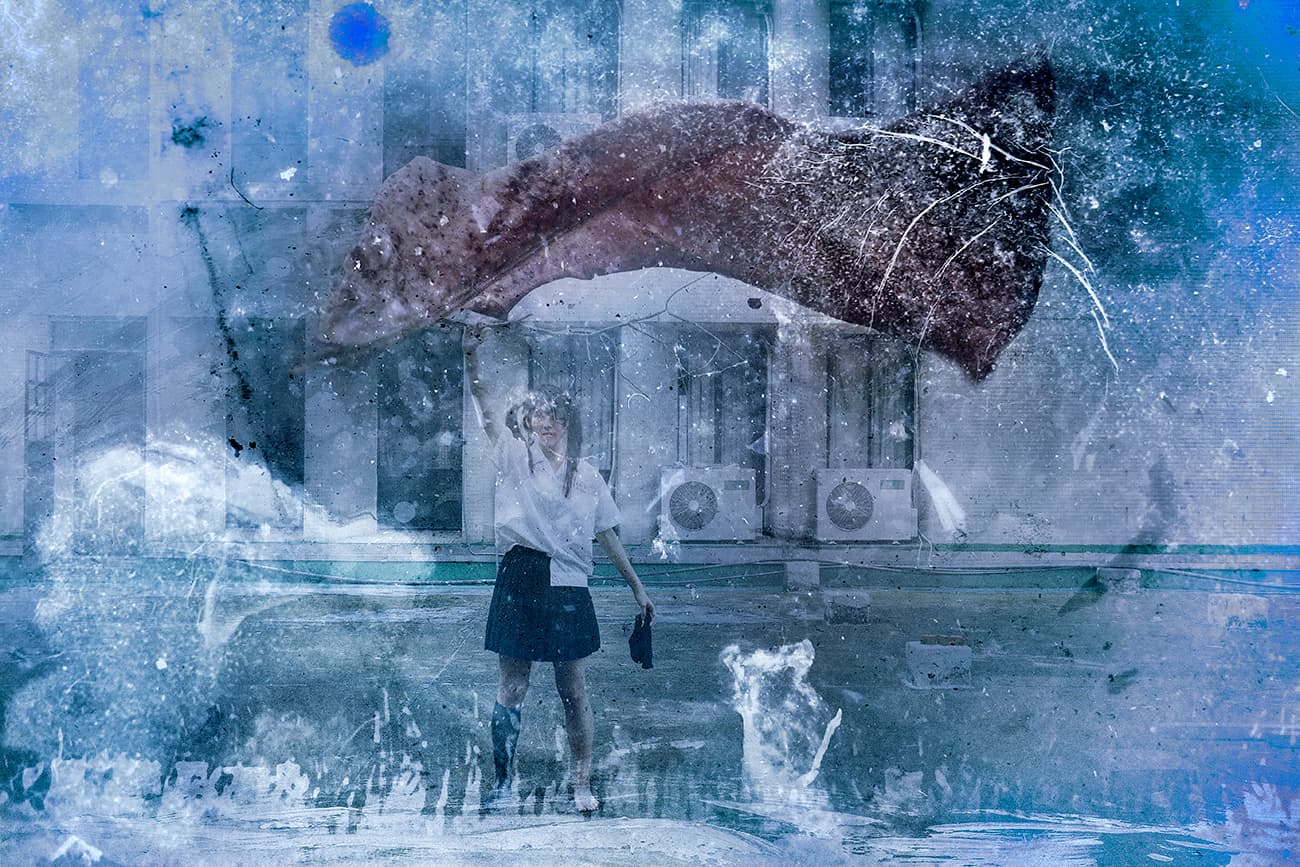 在台北-轉身遇見魚9