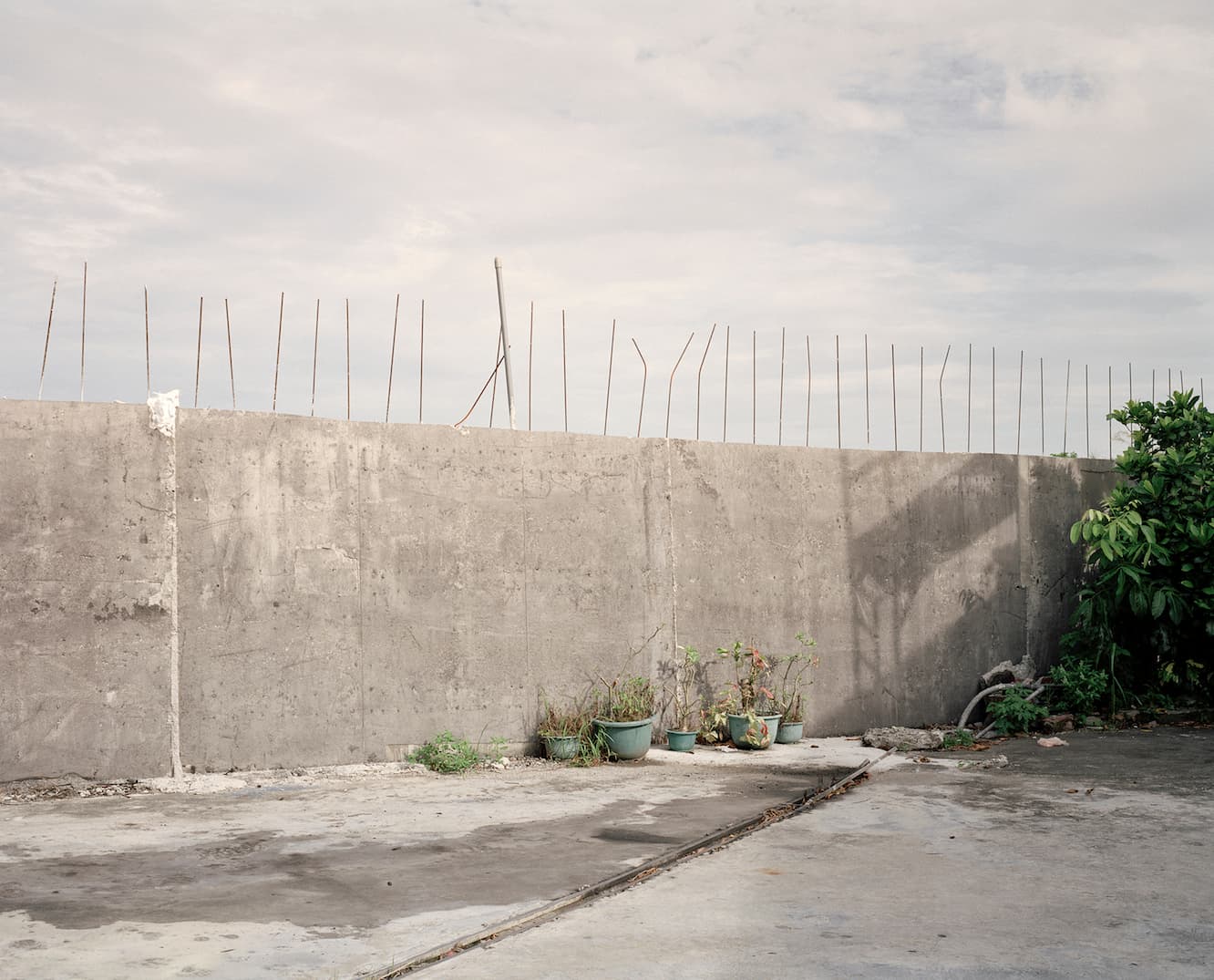 陳以軒_遍尋無處002