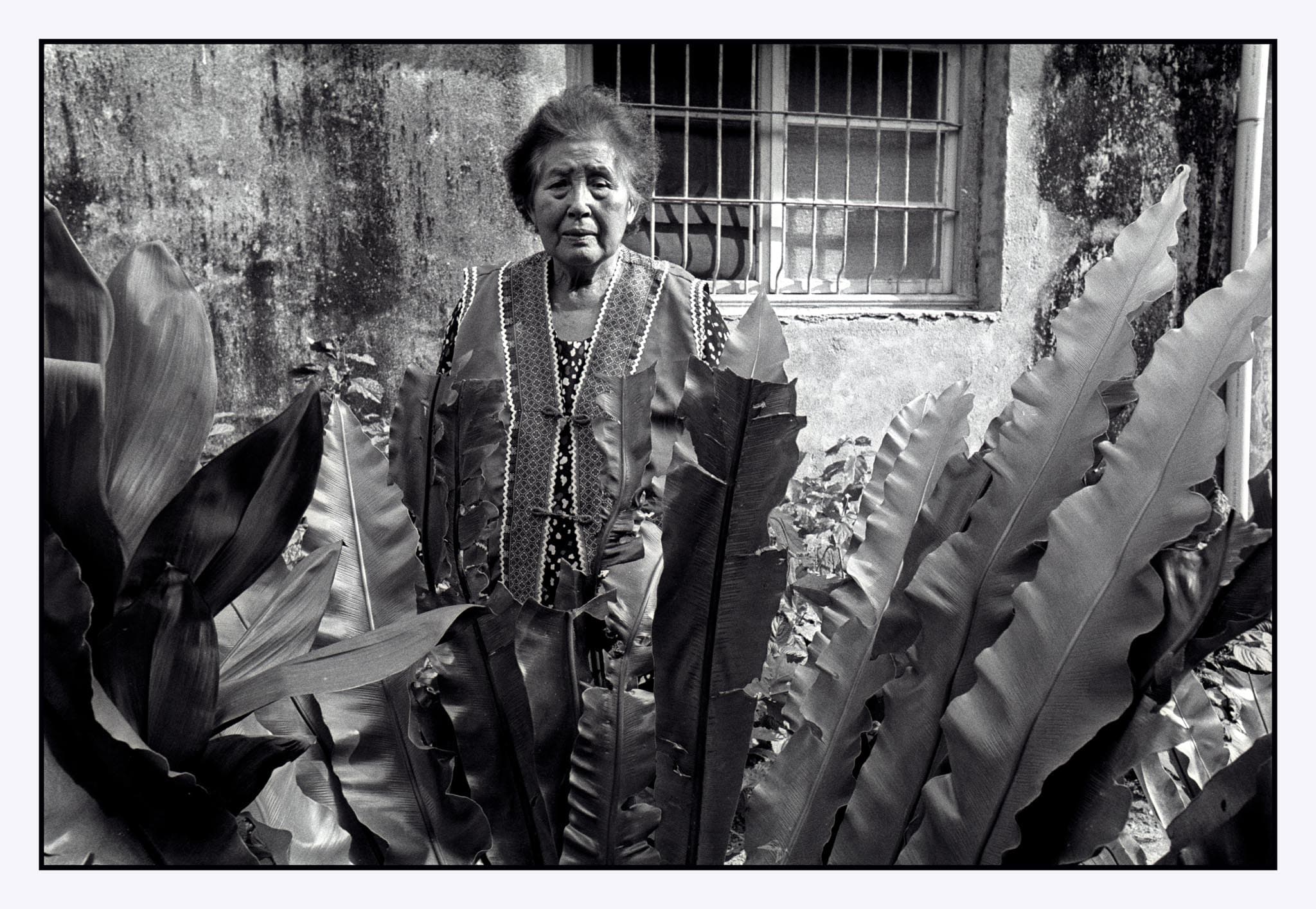 黃子明Huang-Zi-Ming_李溫紅柿