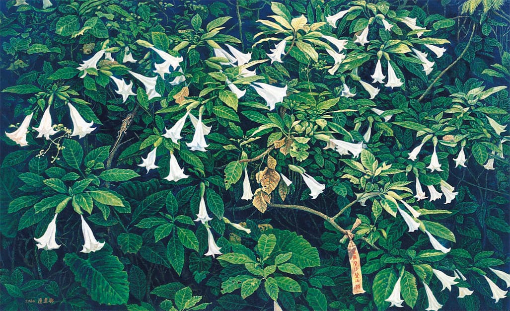 LCH-TW-連建興-叢林探險-32