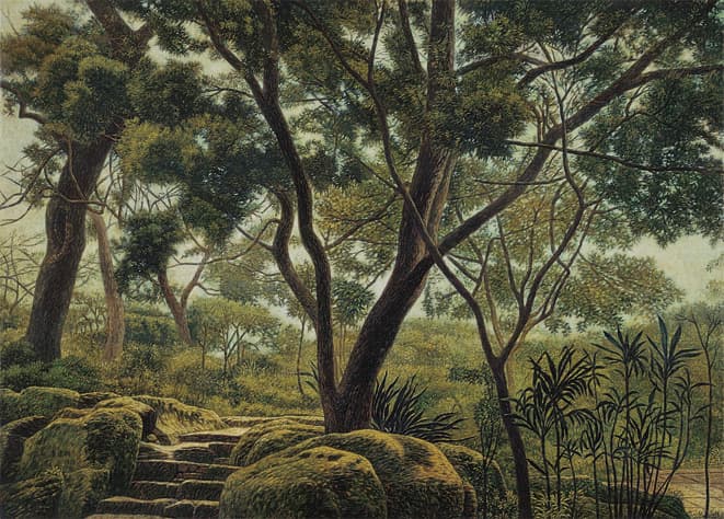 LCH-TW-連建興-唱樹-38