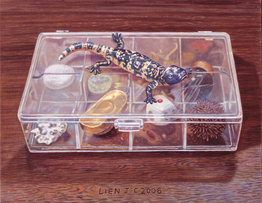 LCH-TW-連建興-守護寶盒-27