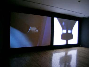 Project David I: Untitled 200256