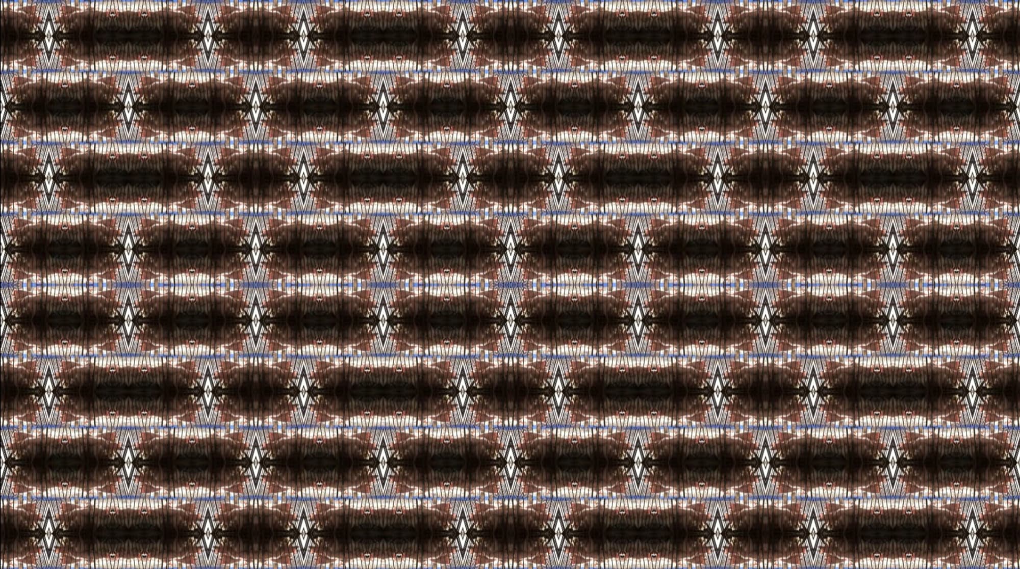 你聽見了我嗎-1