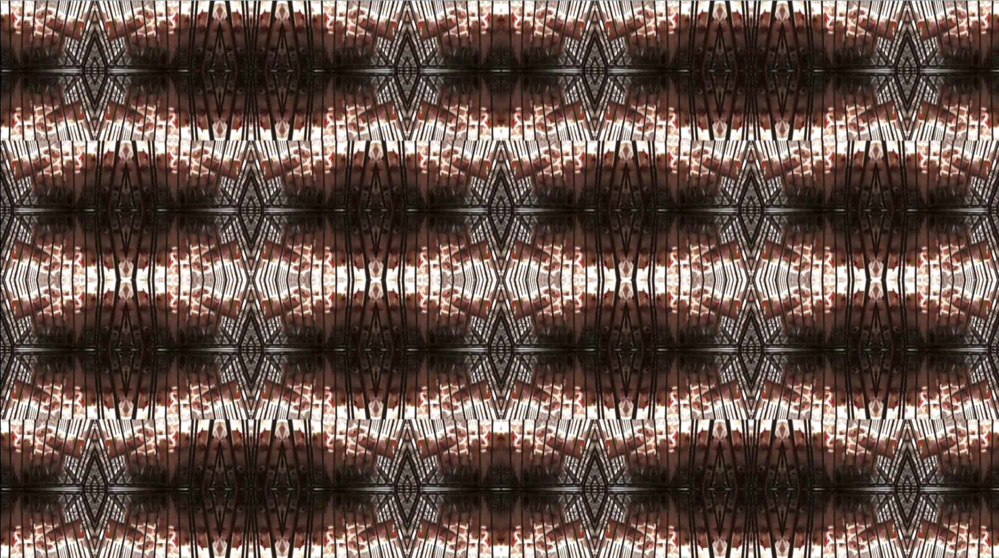 你聽見了我嗎-2