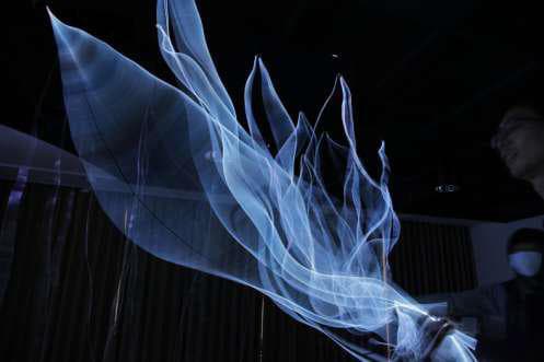 羅禾淋+陳依純｜光林