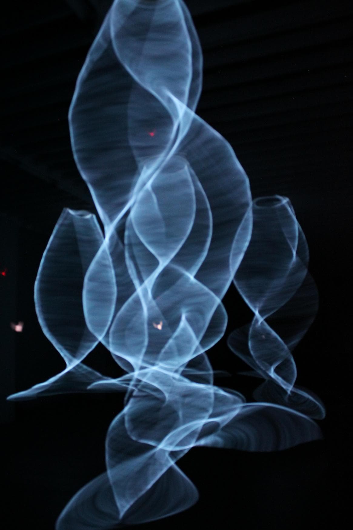 羅禾淋+陳依純｜光風暴