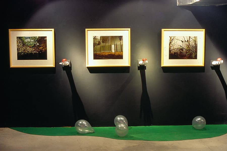 吳宇棠_秘密花園_005_WYT_AFG_005